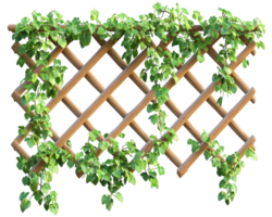 A trellis with green vines growing on it png