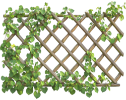 A trellis with green leaves and vines png
