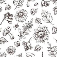 Autumn berries physalis, chokeberry, rowan leaves, maple, birch, mushrooms, rudbeckia flowers, tree branches. Graphic line art hand drawn with black ink. Seamless pattern, endlessly repeating ornament vector