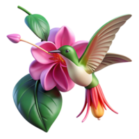 dramatic rustic A delicate hummingbird hovering near a vibrant fuchsia flower, bathed in the soft, diffused light of a cloudy day, in a detailed, botanical illustration style genuine png