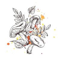 Autumn rowan and birch leaves with edible mushrooms russula. For decorating summer, autumn, harvest. Graphic line art hand drawn with black ink. Arrangement, sublimation, composition vector