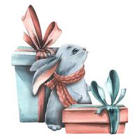 A cute rabbit, a symbol of the new year 2023, surrounded by gift boxes. Watercolor illustration. The composition of a large set of COZY WINTER. For the decoration and design of Christmas decor. vector
