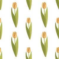 Flower seamless pattern with tulips isolated on white background. Floral illustration for fabric and paper design vector