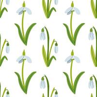 Spring flower Snowdrops seamless pattern on white background. Spring. Awakening. Hand drawn illustration on white for fabric and paper design. vector