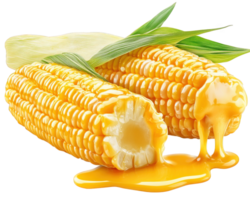 Corn with butter and syrup on it png