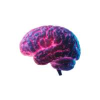 Human brain with glowing neural network on a transparent background. Concept for neuroscience, artificial intelligence, and mental health. png