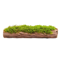 Moss growing on a log against a transparent background. Concept of nature, forest, and environment. png