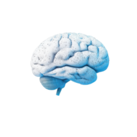 3D digital brain model on transparent background. Concept for artificial intelligence, neuroscience, and medical technology. png