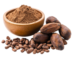 Cocoa powder and cocoa beans png
