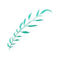 A green leafy plant with a long stem. The stem is thin and the leaf is long and thin vector