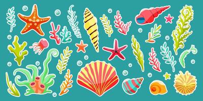 A collection of sea creatures including starfish, shells, and sea grass. The image has a vibrant and lively feel to it, with a focus on the ocean and its inhabitants vector