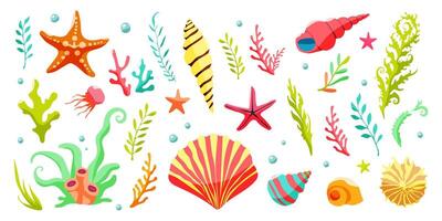 A colorful underwater scene with various sea creatures and plants. The image is a collection of different sea creatures, including a starfish, a shell, and a coral. The colors are bright and vibrant vector