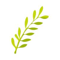 A green leafy plant with a long stem. The leaf is green and has a slightly curved shape vector