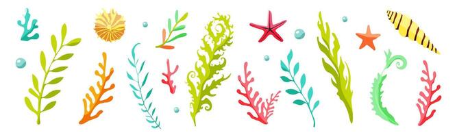 A colorful array of sea plants and sea creatures. The image is a vibrant and lively representation of the ocean and its inhabitants vector