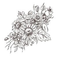 Autumn berries physalis, chokeberry, rowan leaves, maple, birch, russula mushrooms, rudbeckia flowers, tree branches. Graphic line art hand drawn with black ink. Arrangement, sublimation, composition vector