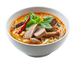 A bowl of soup with meat and noodles png
