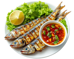 Grilled fish with sauce and lettuce on a plate png