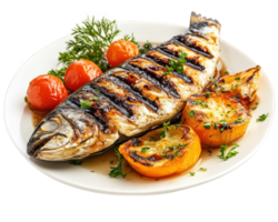 Grilled fish with tomatoes and herbs on a plate png
