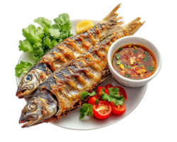 Grilled fish with sauce and vegetables on a plate png