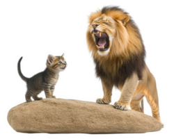 A lion and a kitten are standing on a rock png