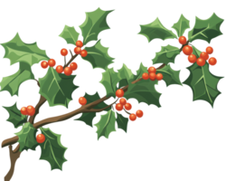 Holly branch with red berries and leaves png