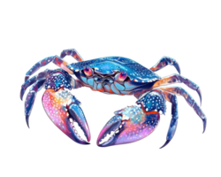 A crab with colorful paint on its body png