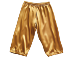 A gold satin pants with a zipper on the side png
