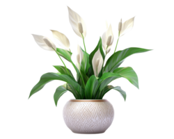 A white vase with green leaves in it png