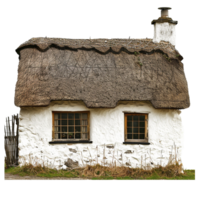 Charming Rustic Thatched Roof Cottage with Whitewashed Walls and Small Windows png