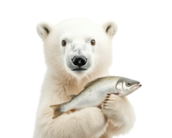 polar bear holding fish, showcasing its strength and natural habitat. This majestic creature stands out against transparency background, emphasizing its beauty and power png