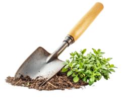 garden spade with wooden handle is placed in soil next to fresh green plants, isolated on transparency background png