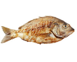 realistic image of whole grilled fish with crispy skin, isolated on transparency background, showcasing its texture and detail png