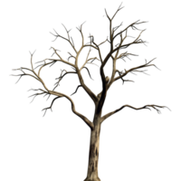 A digitally rendered image of a dead tree with gnarled branches against a black background png