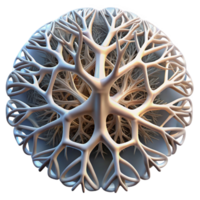beautiful modern A network of branching fractal patterns, resembling lightning or tree roots, intricate and organic, mathematical art style, lit by a subtle, ambient light high resolution png