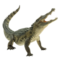 A Stunning Closeup of a Young Nile Crocodile with its Jaws Open Wide Showing Sharp Teeth png
