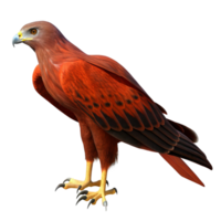 Spectacular 3D Render of a Fiery Red Hawk with Sharp Talons and Intense Gaze png