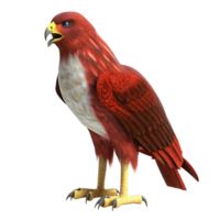 A Stunning 3D Render of a Fiery Red Hawk with Yellow Talons and a Striking Pose png