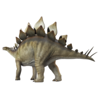 A Detailed 3D Render of a Stegosaurus Dinosaur Showing its Plates and Spikes png