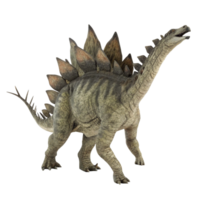 A Detailed 3D Render of a Stegosaurus Dinosaur in a Walking Pose Against a Black Background png