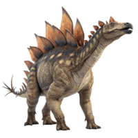 A detailed 3D rendering of a Stegosaurus dinosaur a herbivorous quadruped from the Late Jurassic period png