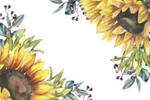 Autumn floral template with yellow sunflowers,protea and autumn berries watercolor illustration. Hand drawn harvest season frame with blossom and leaves for greeting card, poster,invitation design png