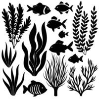 Collection of Algae and Fish Silhouettes Isolated on Transparent Background vector