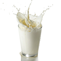 Milk Splashing in a Glass on Black Background A Refreshing Drink Image png