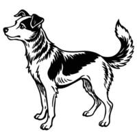 Sketch of a Dog on Hind Legs on a White Background vector