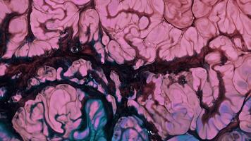 Abstract Grunge Art Ink Paint Spread Blast Explode Background 08 video