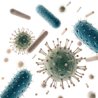 Microscopic View of Various Bacteria and Viruses in a Complex System png