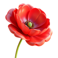vibrant contemporary A single, open poppy flower, vibrant red, with delicate petals, backlit, painterly style 4K png