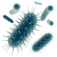 Microscopic View of Various Bacteria and Microorganisms png
