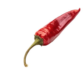 A Single Red Chili Pepper Isolated on Black Background Food Photography png