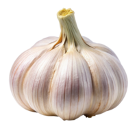 A Single Bulb of Garlic Isolated on Black Background High Resolution Image png